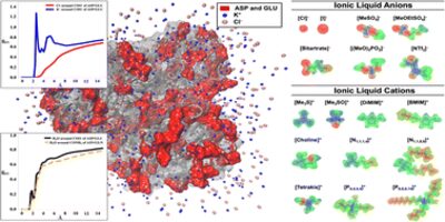 Ions clustering around halophilic ADH enzyme
