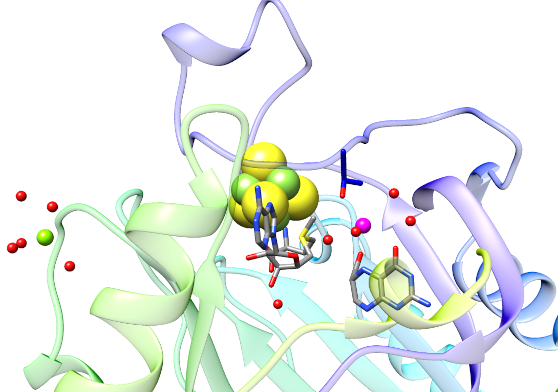 Enzymes