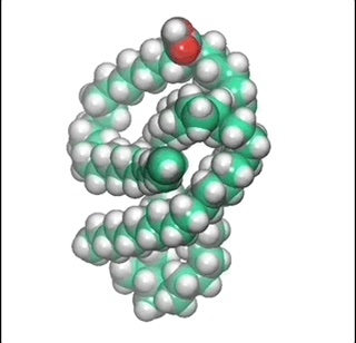 A Mycolic acid wiggling